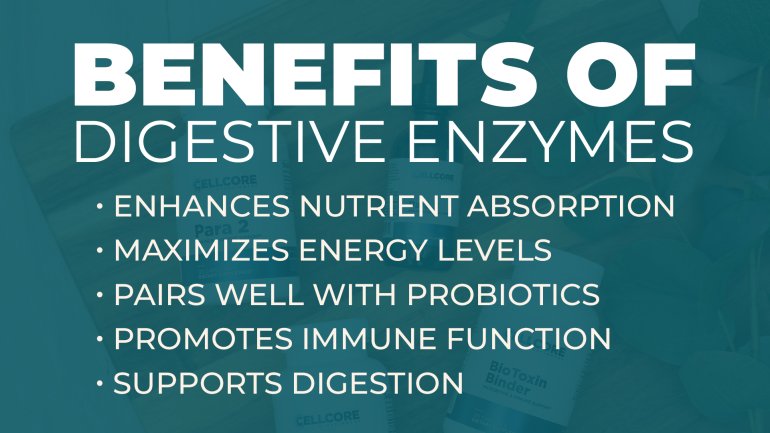 Benefits_of_Digestive_Enzymes___-_Long.jpg, Jun 2023